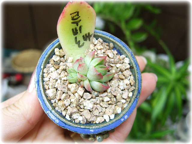 (주)배성 이미지