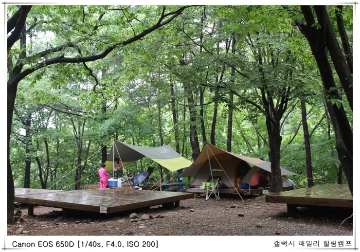유명산자연휴양림 이미지
