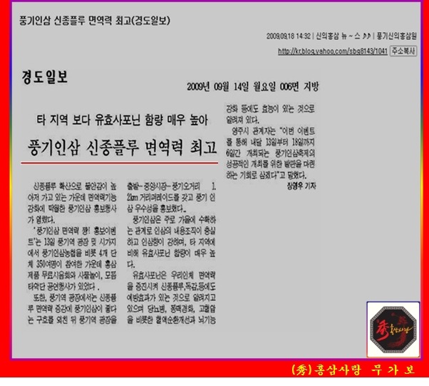 중앙인삼 이미지