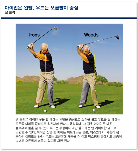 아이언 이미지