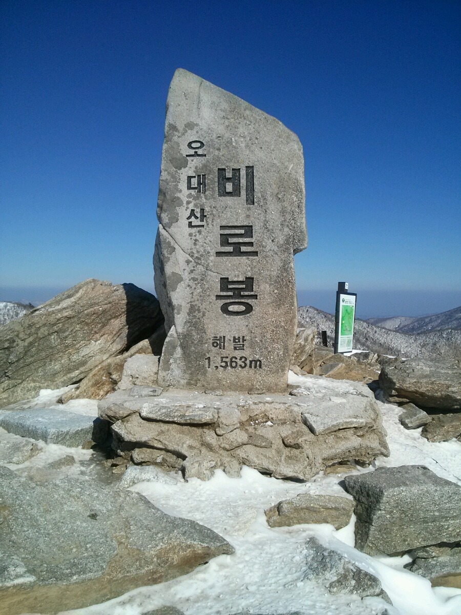 채은병 이미지