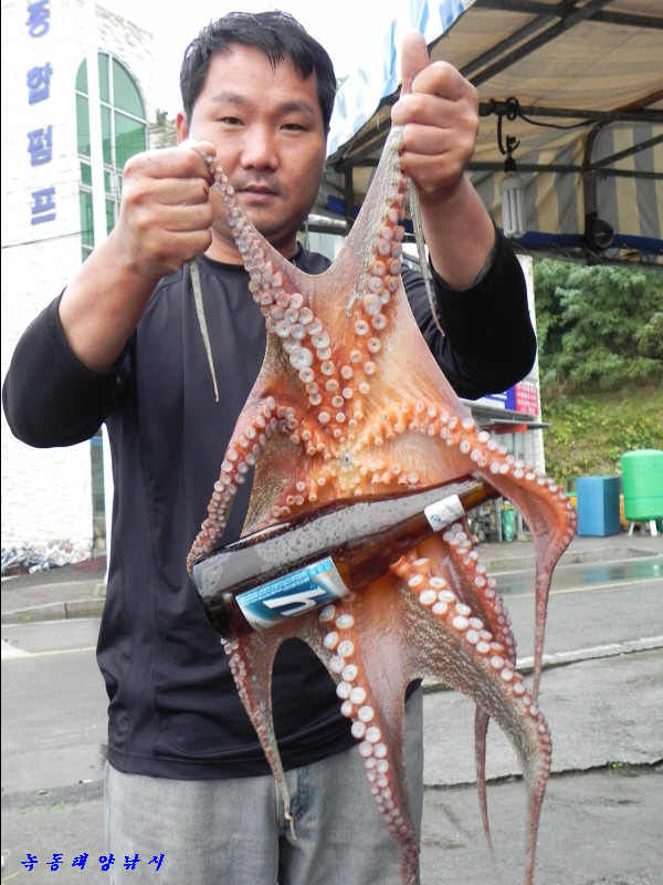 갑돌이 이미지