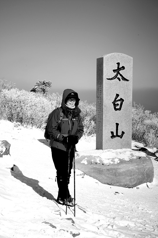 마님 이미지