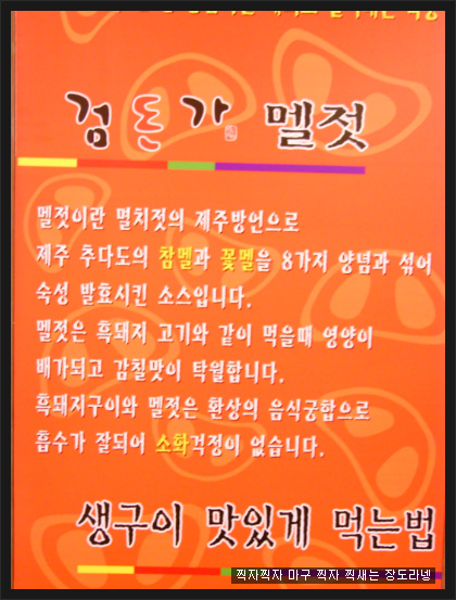 지금,돼지 이미지