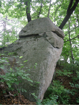 진산종합환경 이미지