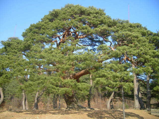 삼송마을 이미지