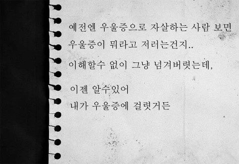 더블리나 이미지