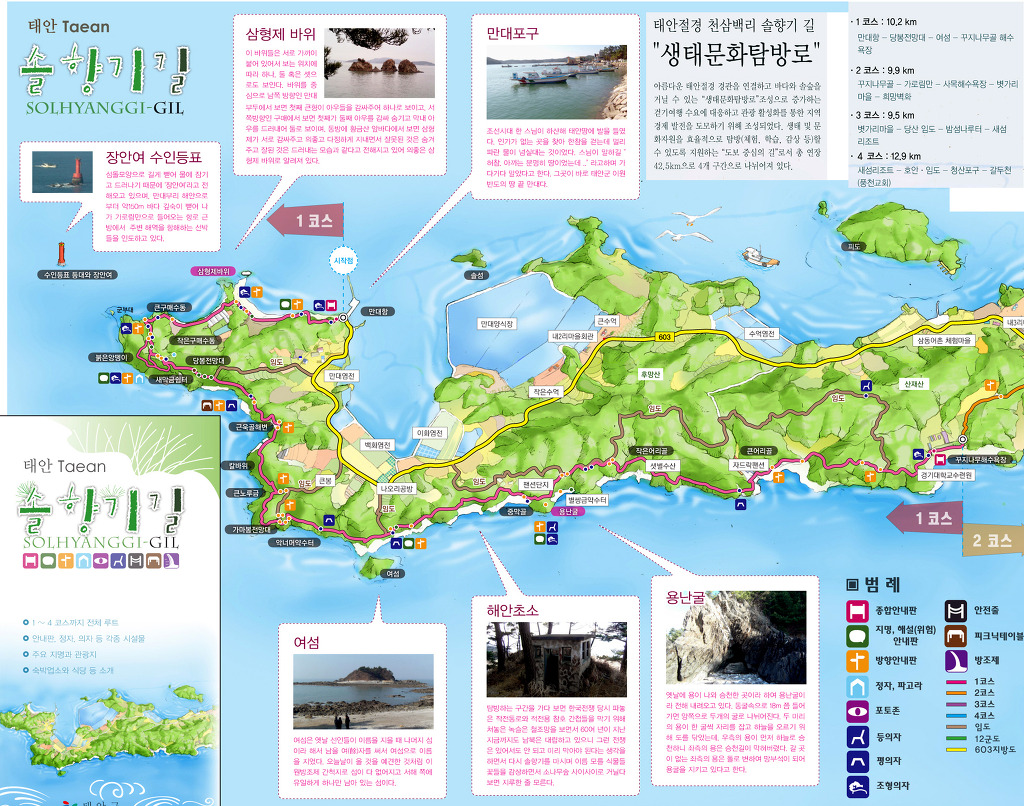 솔향기 이미지