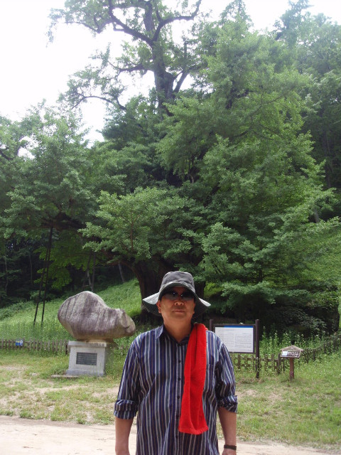 청록 이미지