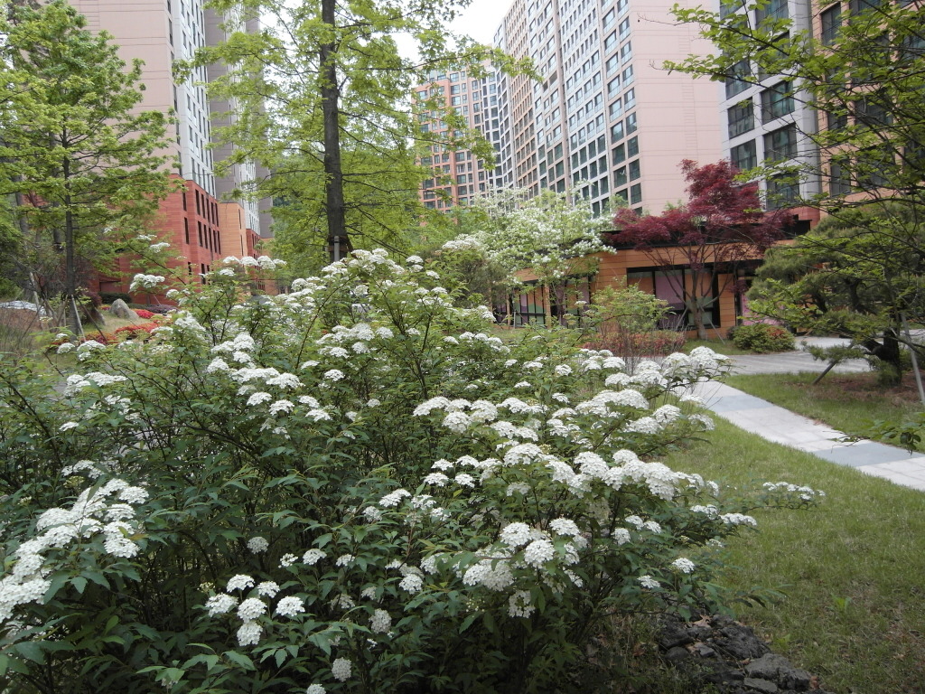 동천조경 이미지