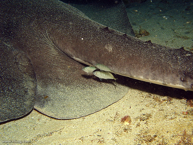 155CB4474D4EB4B836B5F8