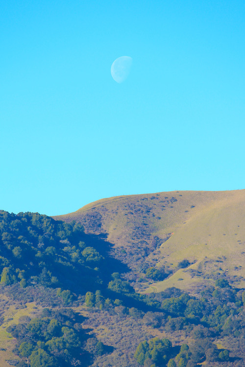  지친 당신을 위로 해주는 사진 | 인스티즈