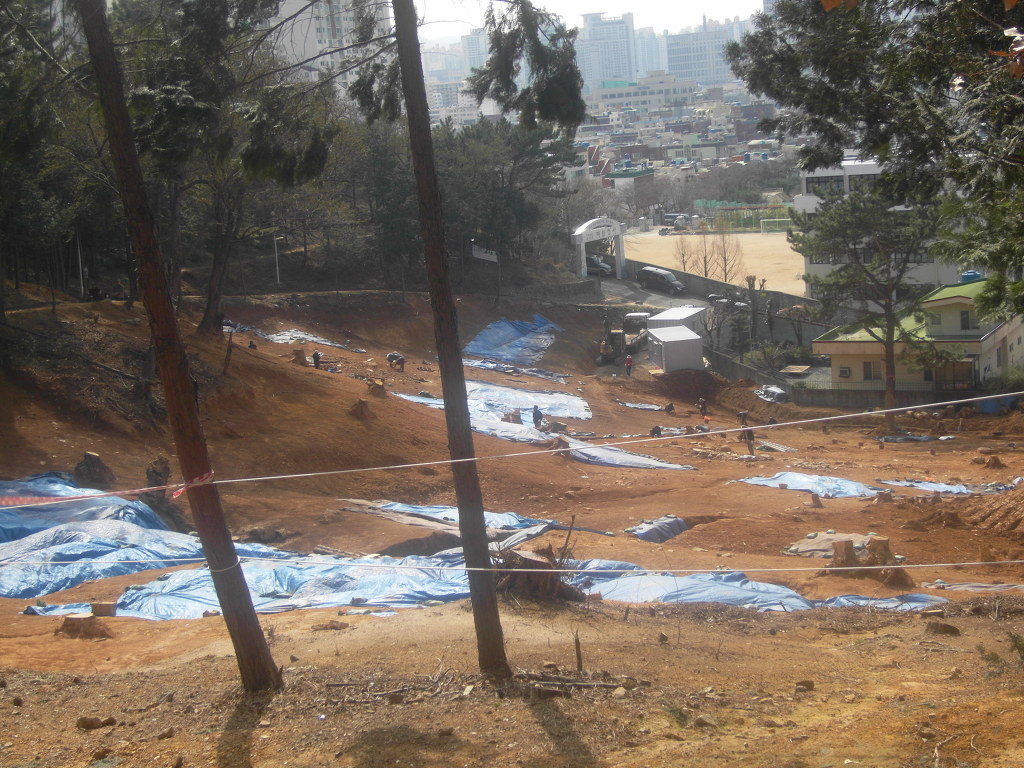 부산배화학교 이미지