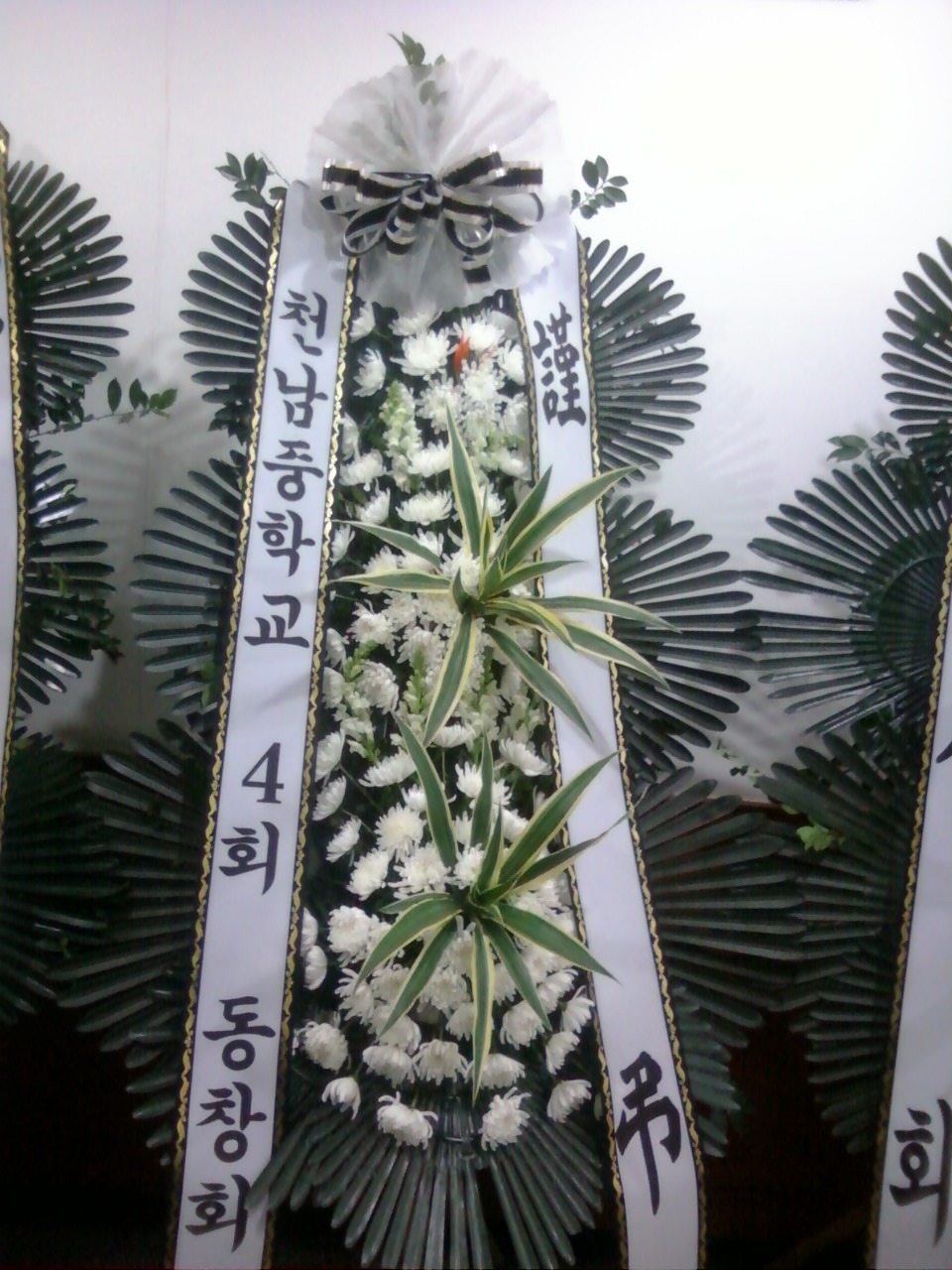 유현순 이미지