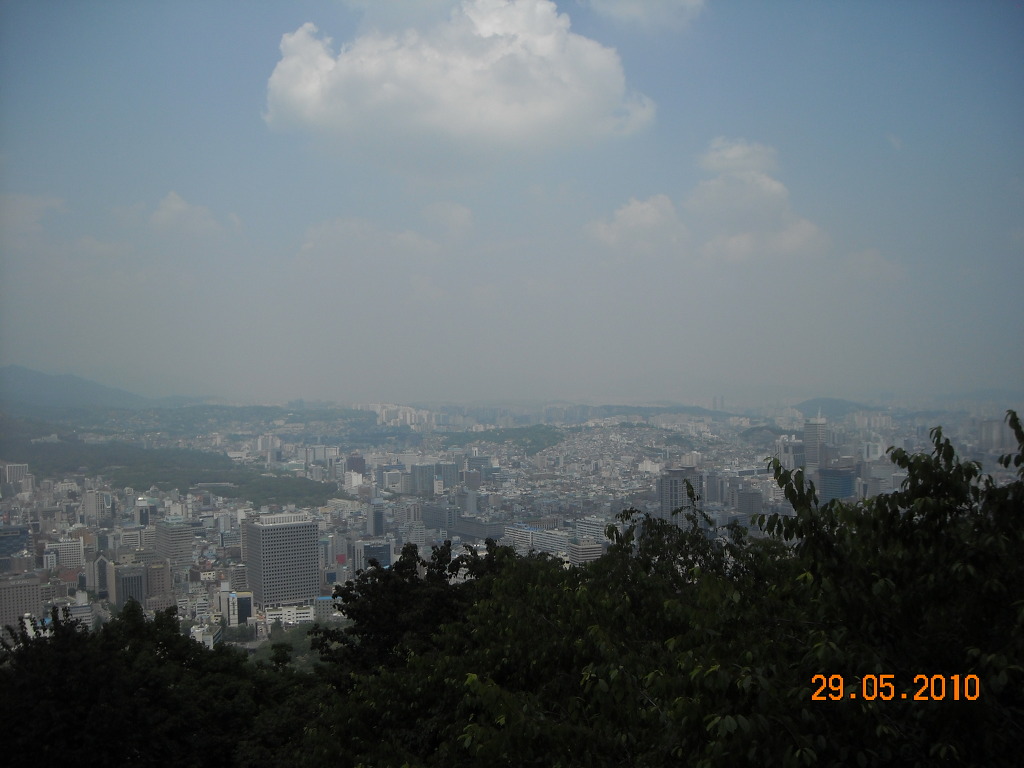 할매족발 이미지