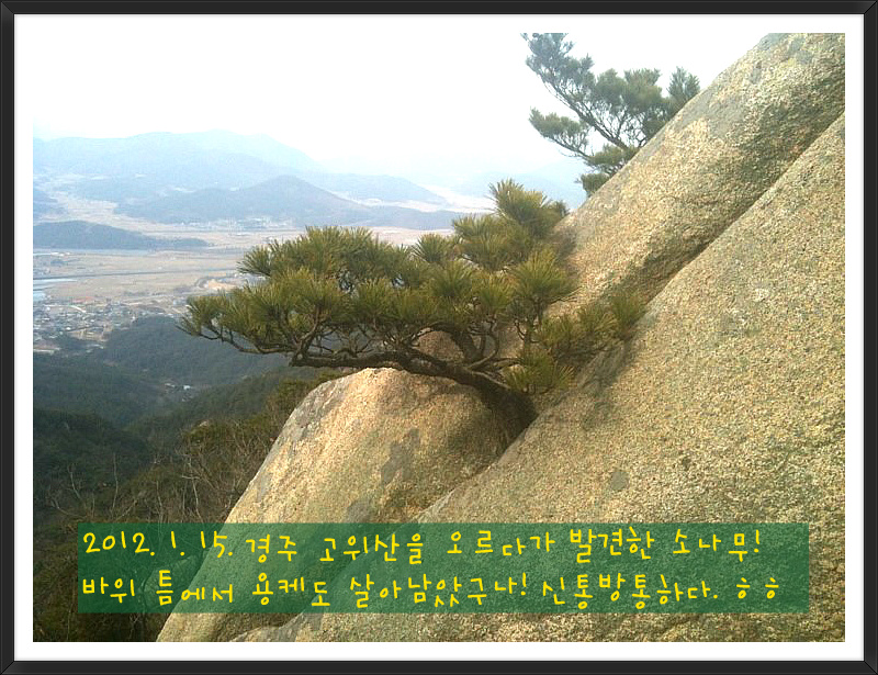 칭찬평생교육원 이미지
