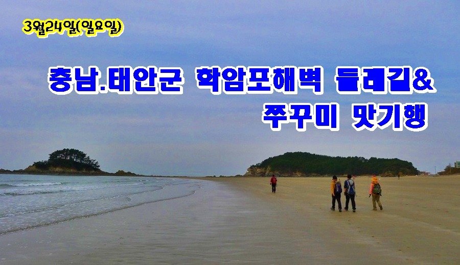 서울선치과의원 이미지
