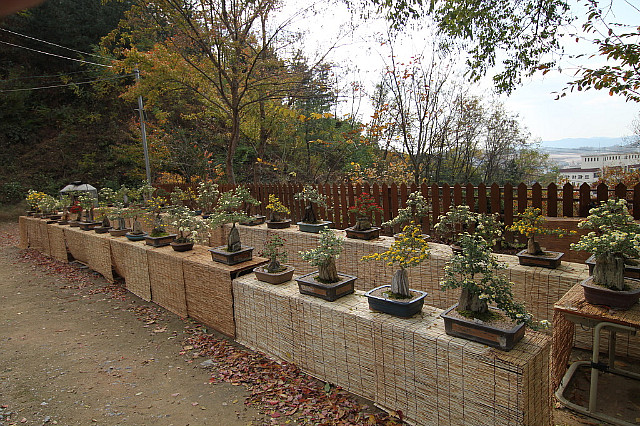 국성 이미지