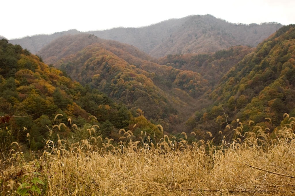 취산 이미지