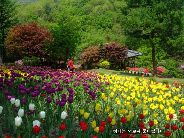 꽃보다사랑 이미지