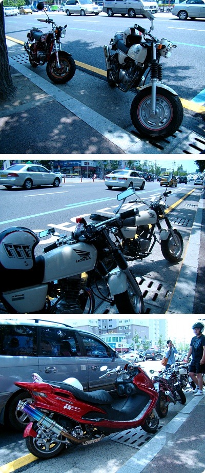 바리 이미지