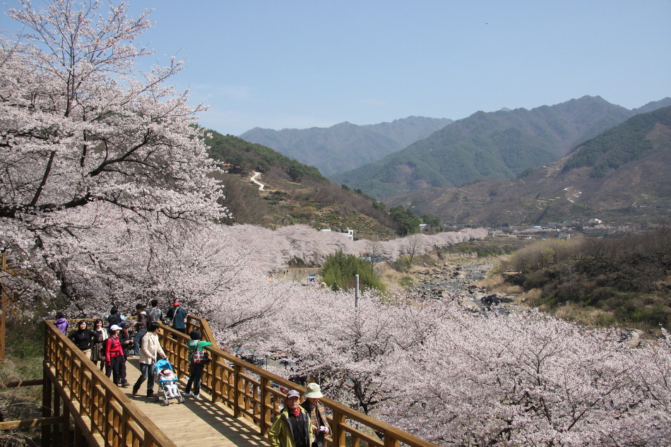 황전IC(완주) 이미지
