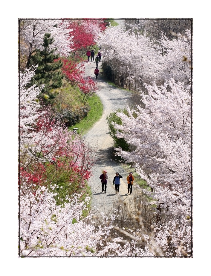 드림로드 이미지
