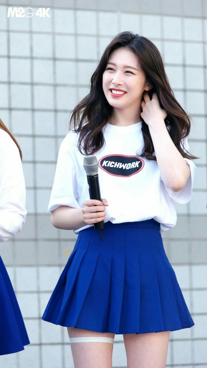 소나무 의진 | 인스티즈