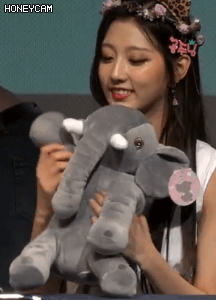 코끼리 인형 가지고 노는 걸그룹 멤버.gif | 인스티즈