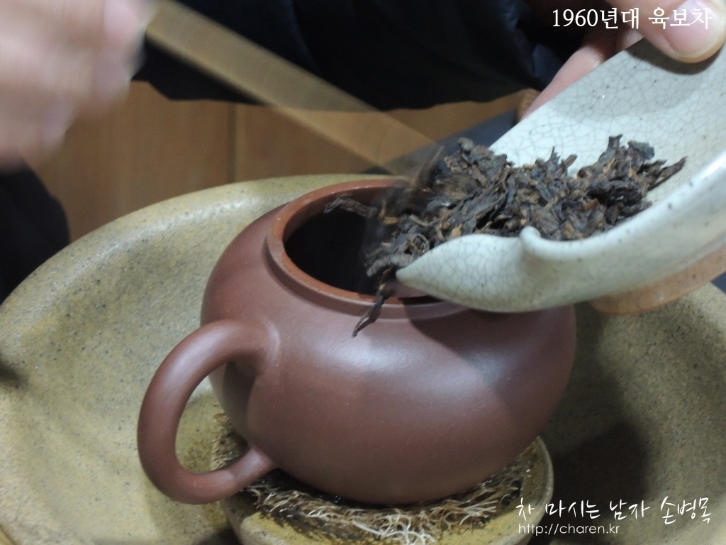 고파 이미지