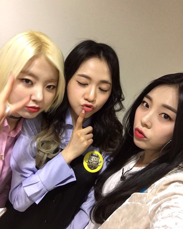 레이디스코드 | 인스티즈