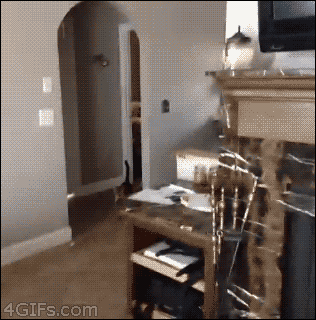 아 씨X! 깜짝이야!!!!!!!!!!!!!!!!!.gif | 인스티즈