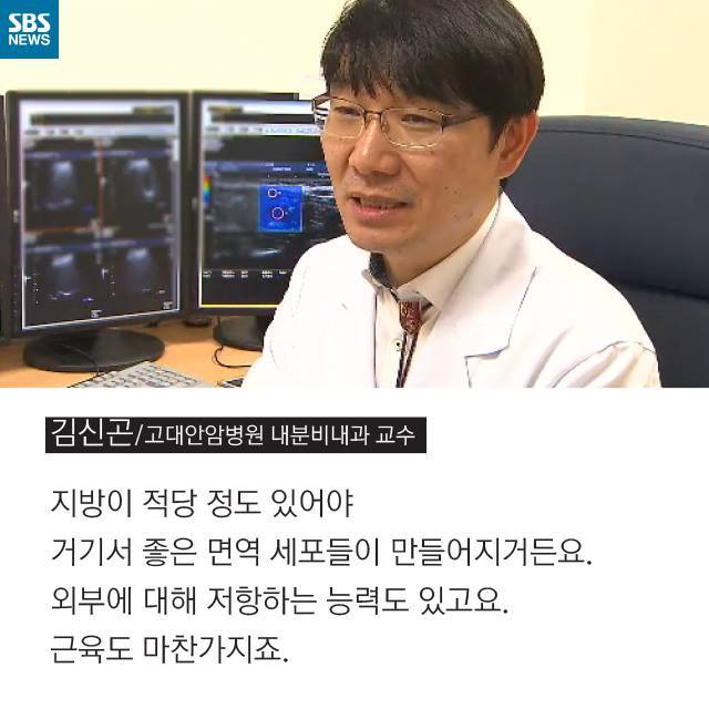 비만도 적당해야 장수할 수 있다 | 인스티즈