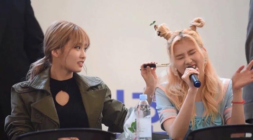 트와이스 랜덤 짤털이.gif | 인스티즈