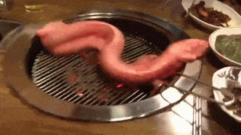 약혐주의＞ 싱싱한 꼼장어.gif | 인스티즈