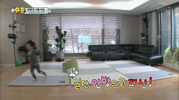 나무를 부러트린 서준이의 최후 | 인스티즈