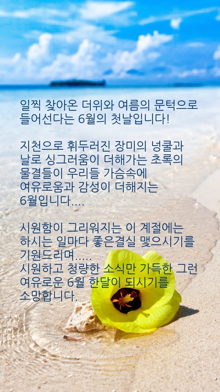솜씨방 이미지