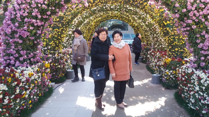 백목향 이미지