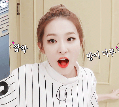 팬들이 생각하는 레드벨벳 멤버별 첫인상-현인상.jpgif | 인스티즈