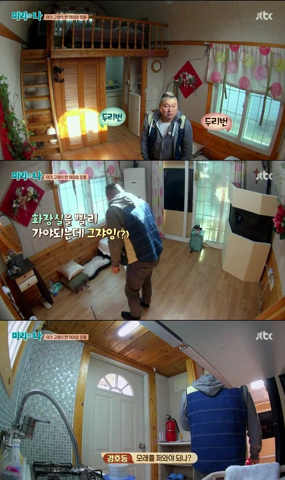 [마리와나] 케미가 냥냥 터지는 강호동과 새끼 고양이 토토.jpg | 인스티즈