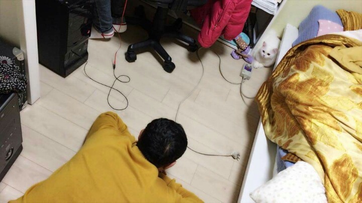 집에 고양이 데려오지 말라던 아부지 . JPG | 인스티즈