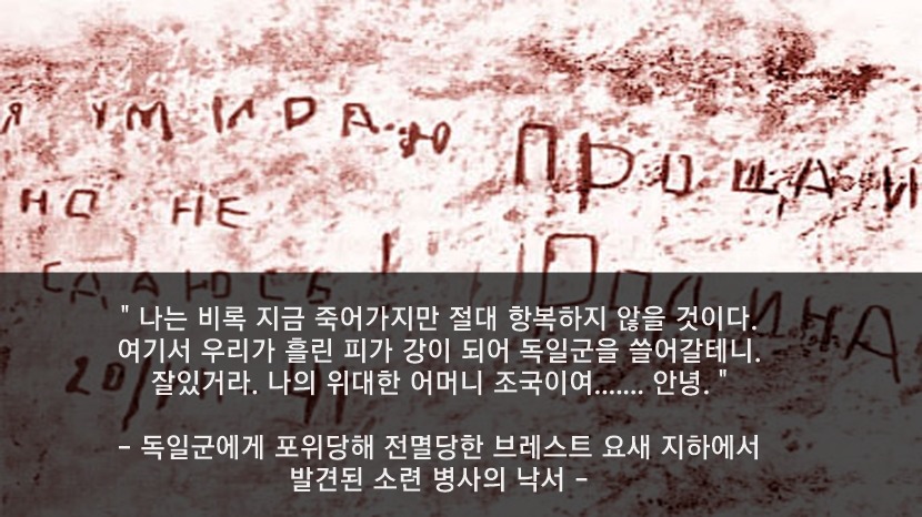 2900만명 갈아넣어서 독일 막아낸 나라 | 인스티즈