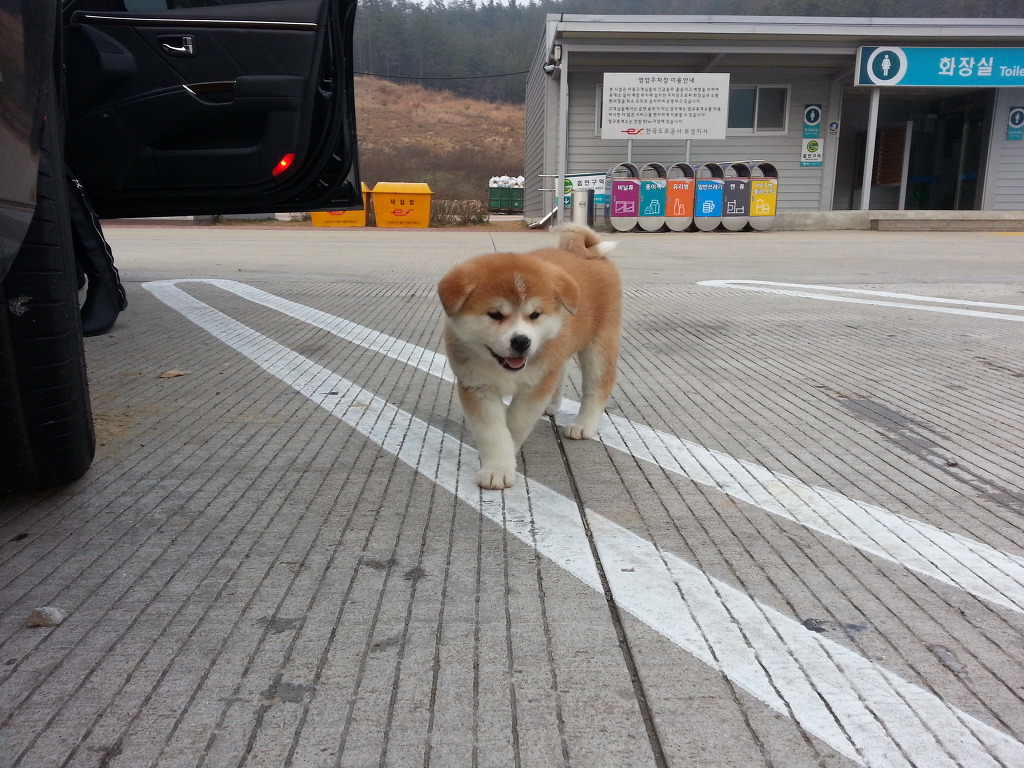 엔토 이미지