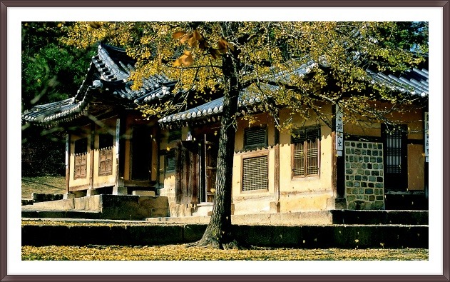 예산사랑 이미지