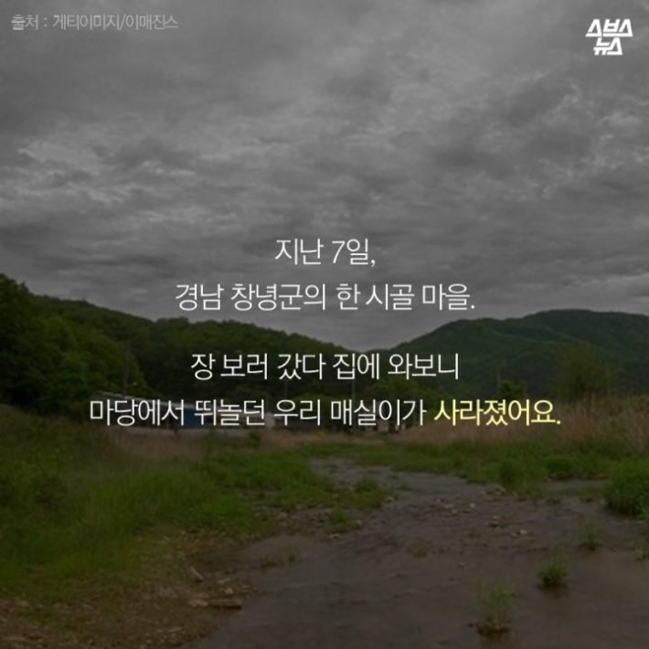 가족같은 강아지의 죽음 | 인스티즈