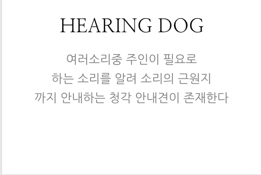 안내견에 대한 잘 몰랐던 사실들.. 그 개를 알고싶다! 안내견편!! | 인스티즈
