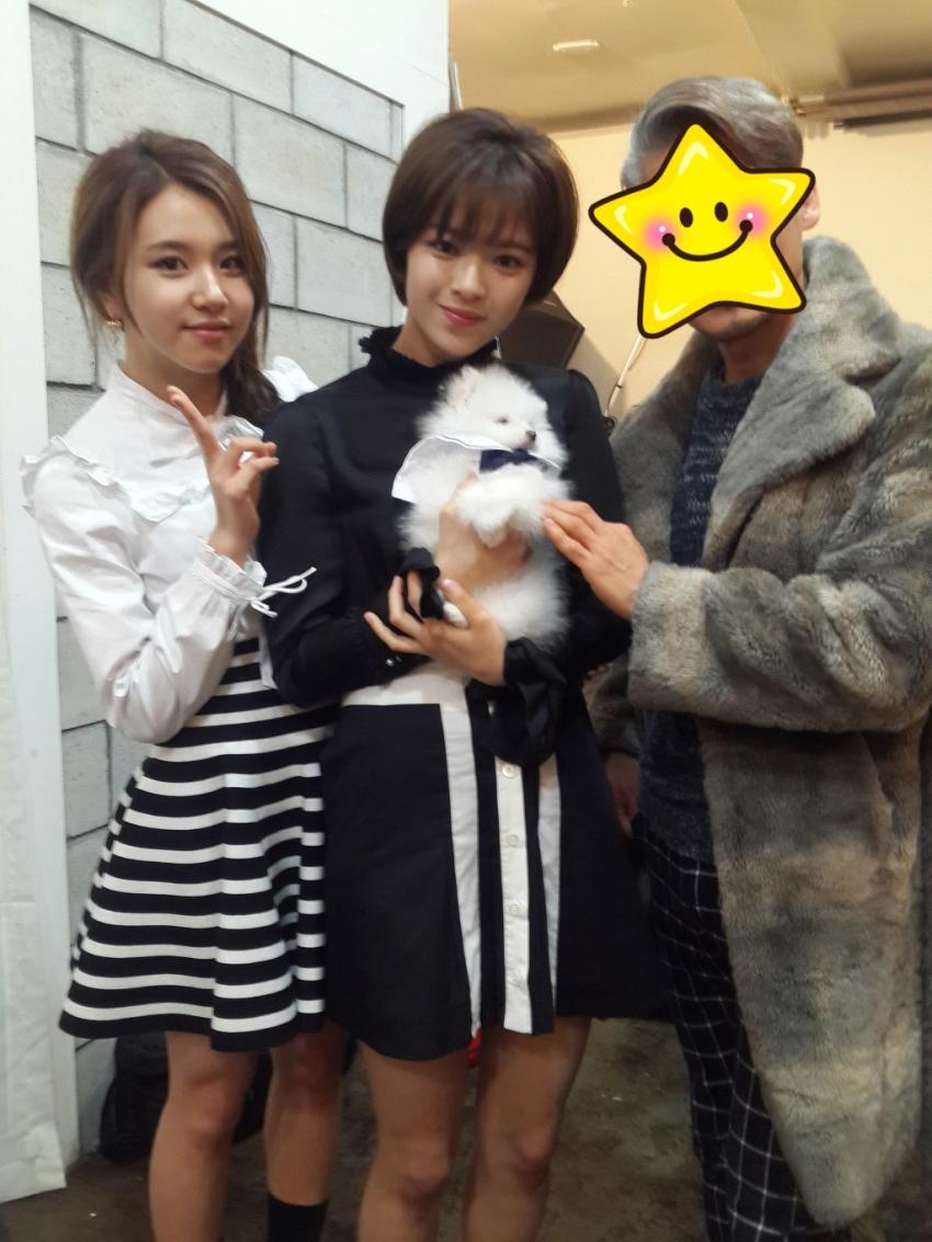 [트와이스] 광고 촬영 중 멍뭉이에 정신팔린 맴버들 ㅋㅋ | 인스티즈