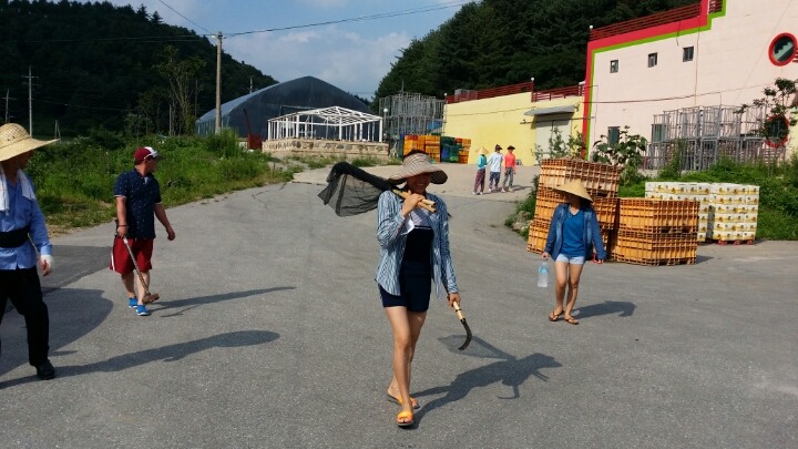 평창꽃순이 이미지