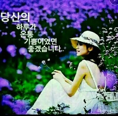 에스칼 이미지