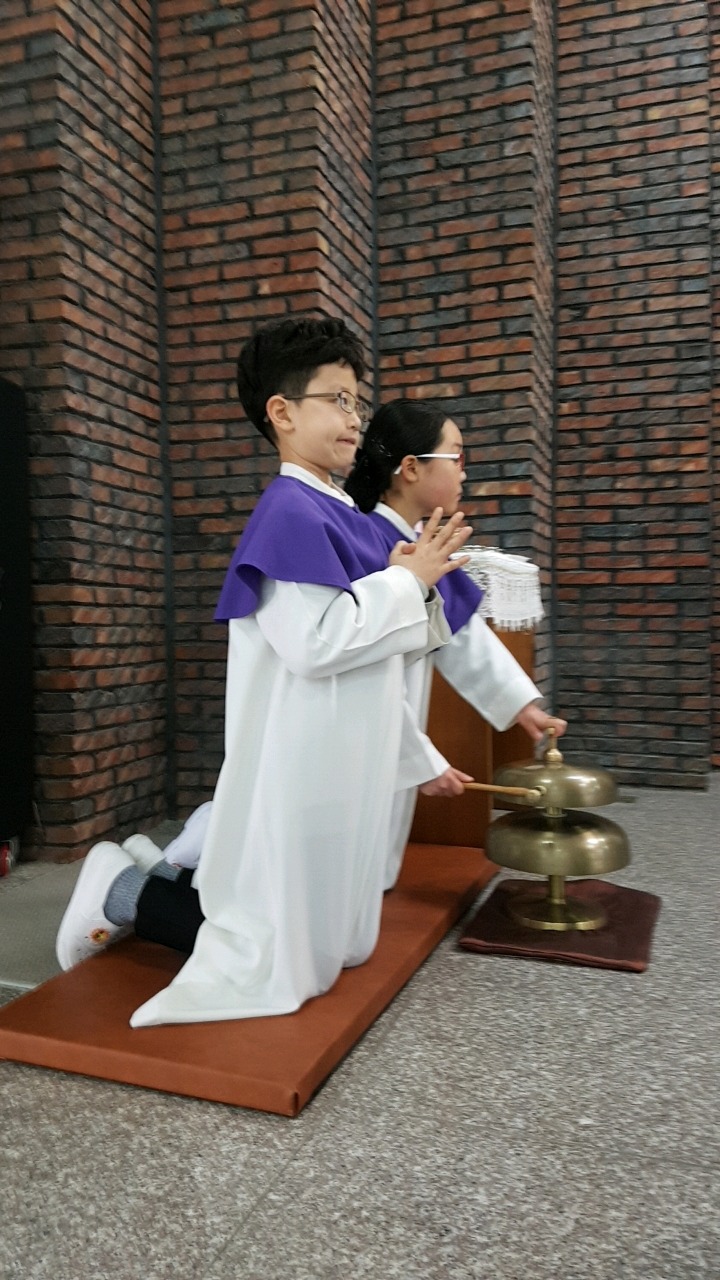 장미단식 이미지